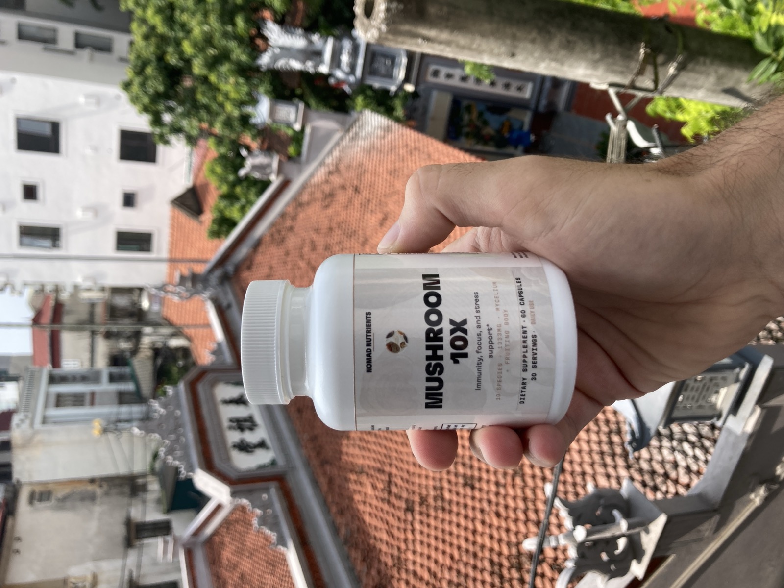 Mushroom 10X, held up on a Hanoi rooftop